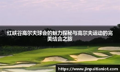 星空体育全站